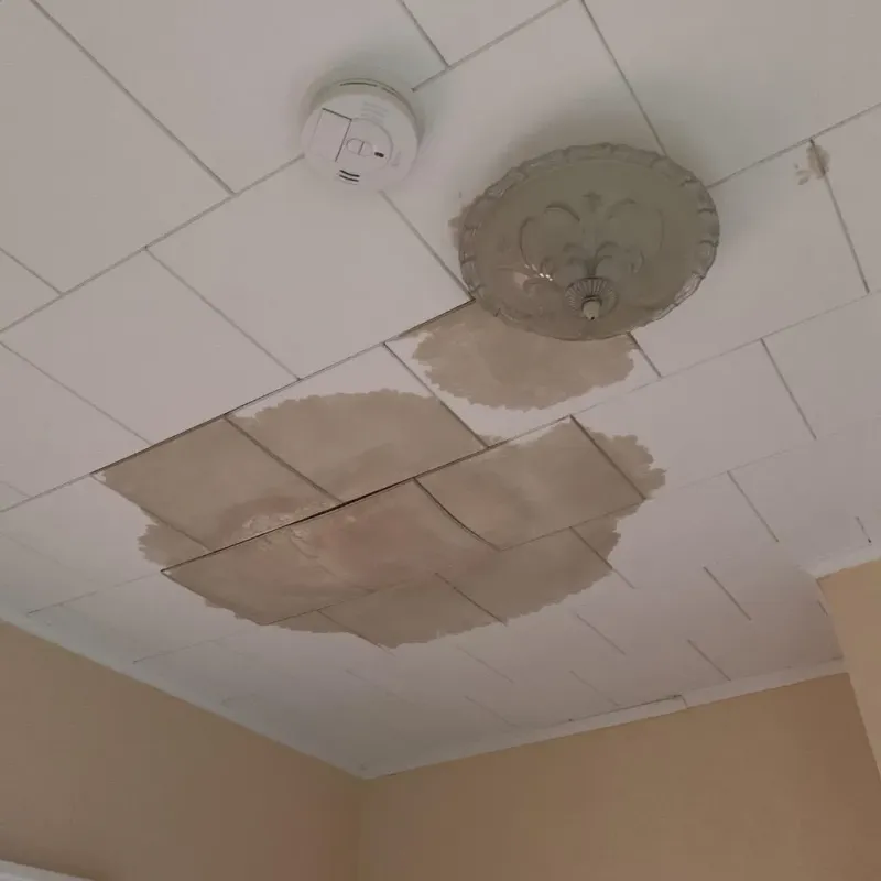 Ceiling Water Damage Repair in Lake Delton, WI