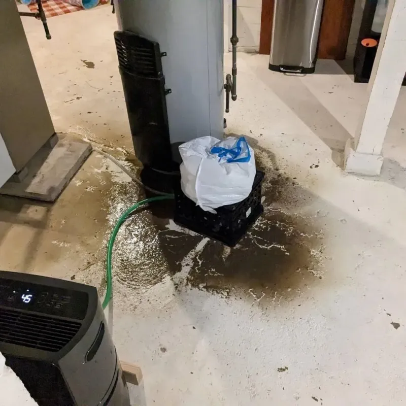 Sewage Backup Cleanup Service in Lake Delton, WI